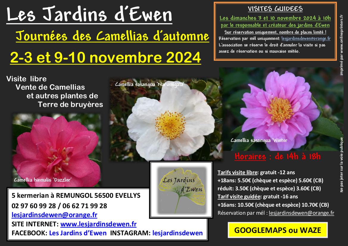 Affiche camellias automne 2024