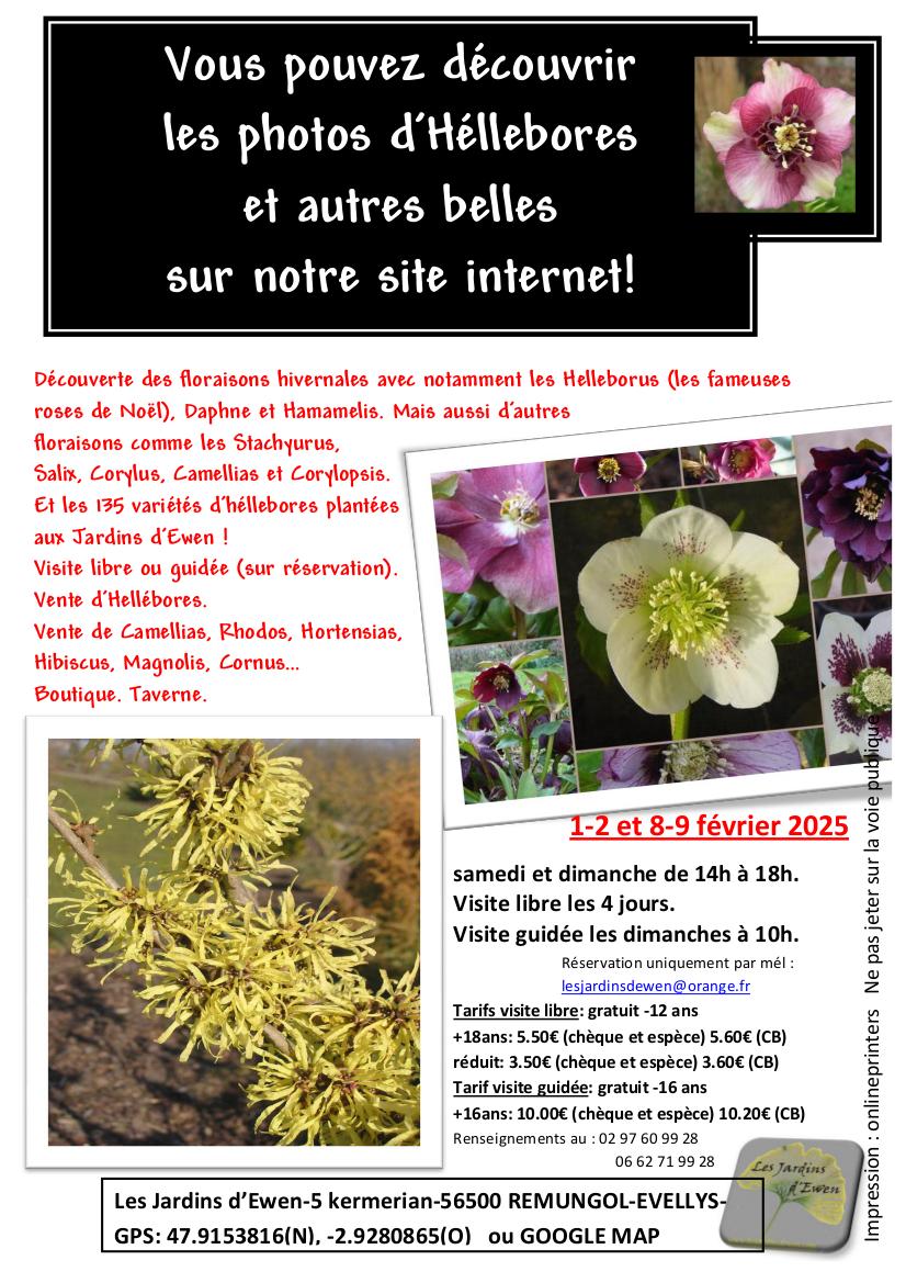 Prospectus hellebores 2025 verso